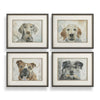 Uttermost Uttermost Dog Days Framed Prints Set/4