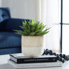 Uttermost Home Uttermost Doha Succulent Accent