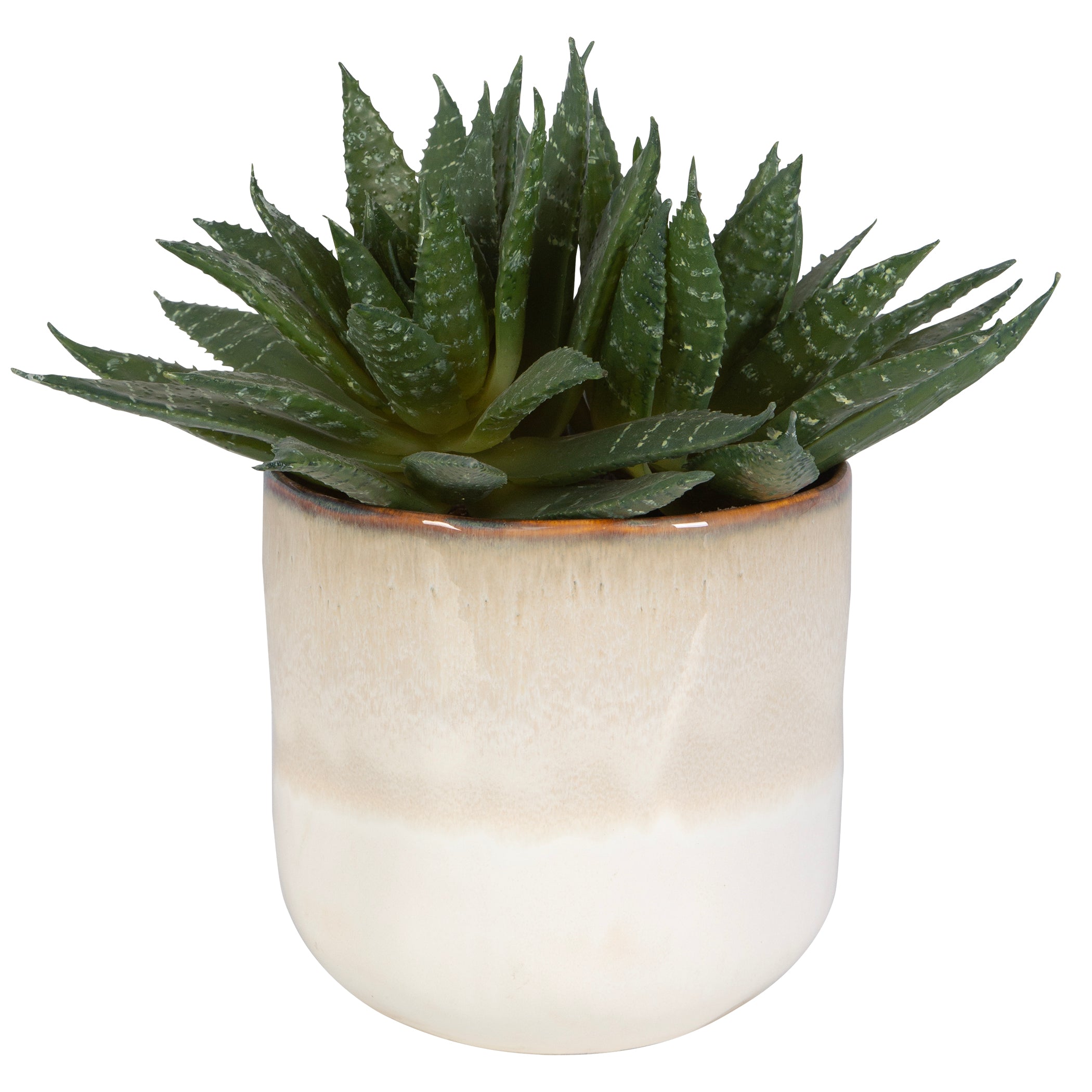 Uttermost Home Uttermost Doha Succulent Accent
