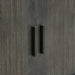 Uttermost Furniture Uttermost Drury 2 Door Dark Gray Cabinet