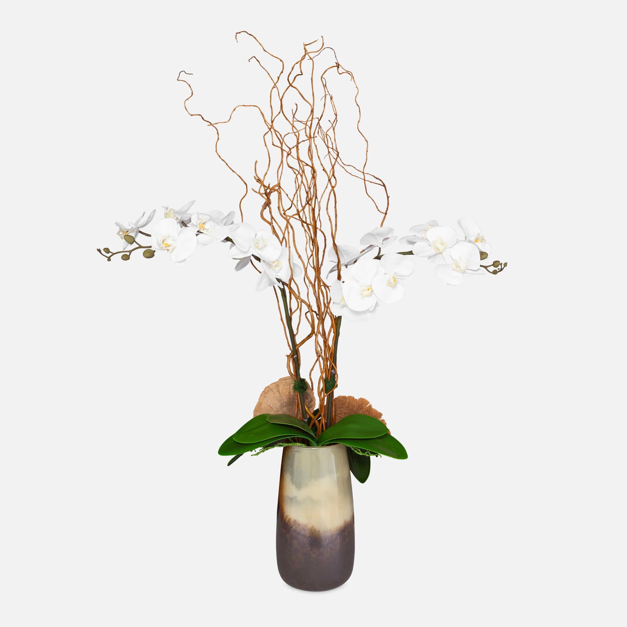 Uttermost Home Decor Uttermost Earthbound Orchid With Vase
