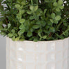 Uttermost Home Uttermost Edgewood Greenery, Set/2