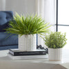 Uttermost Home Uttermost Edgewood Greenery, Set/2