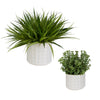 Uttermost Home Uttermost Edgewood Greenery, Set/2