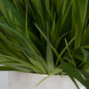 Uttermost Home Uttermost Edgewood Greenery, Set/2