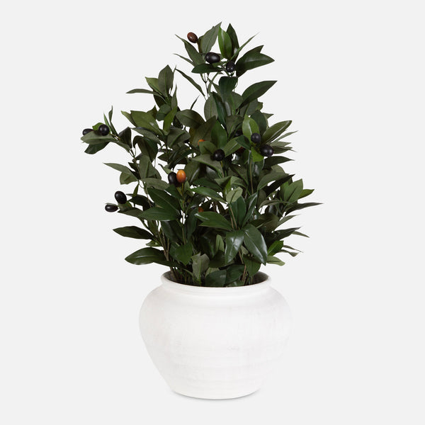 Uttermost Home Decor Uttermost Elena Olive Centerpiece