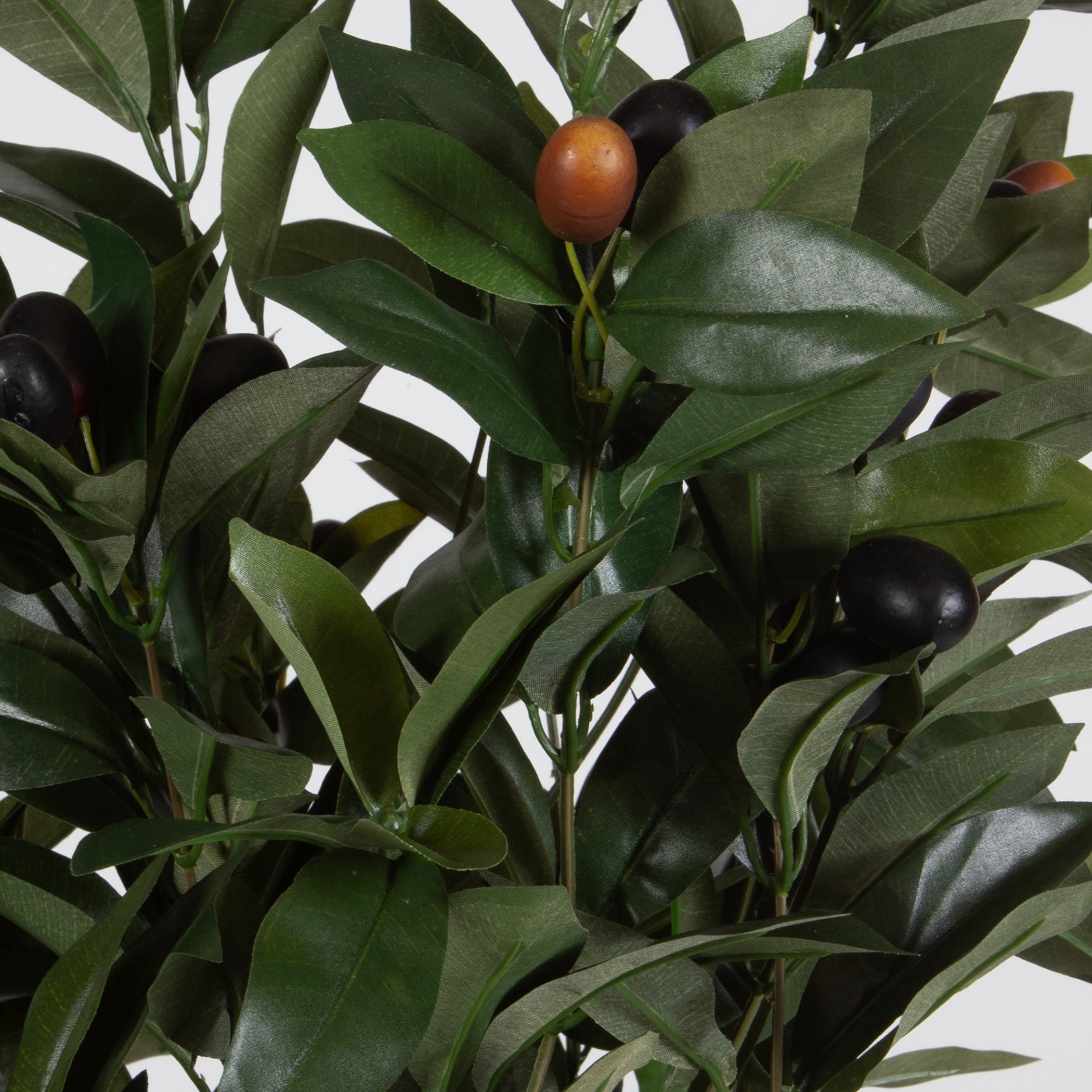 Uttermost Home Decor Uttermost Elena Olive Centerpiece