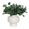 Uttermost Uttermost Essence Eucalyptus Accent & Vase