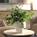 Uttermost Uttermost Essence Eucalyptus Accent & Vase