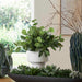 Uttermost Uttermost Essence Eucalyptus Accent & Vase