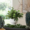 Uttermost Uttermost Essence Eucalyptus Accent & Vase
