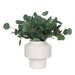 Uttermost Uttermost Essence Eucalyptus Accent & Vase