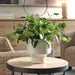 Uttermost Uttermost Essence Eucalyptus Accent & Vase