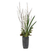 Uttermost Uttermost Eterna Orchid Centerpiece & Vase