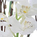 Uttermost Uttermost Eterna Orchid Centerpiece & Vase