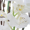 Uttermost Uttermost Eterna Orchid Centerpiece & Vase