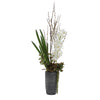 Uttermost Uttermost Eterna Orchid Centerpiece & Vase