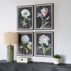 Uttermost Home Decor Uttermost Florals On Black Framed Prints, Set/4