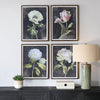 Uttermost Home Decor Uttermost Florals On Black Framed Prints, Set/4