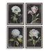 Uttermost Home Decor Uttermost Florals On Black Framed Prints, Set/4