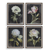 Uttermost Home Decor Uttermost Florals On Black Framed Prints, Set/4
