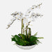 Uttermost Home Decor Uttermost Flourish Orchid Centerpiece