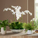 Uttermost Home Decor Uttermost Flourish Orchid Centerpiece