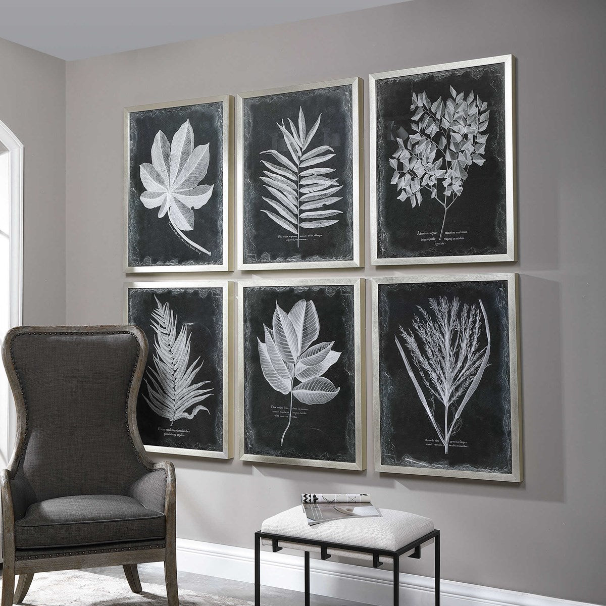 Uttermost Home Oversize - Rate to be Quoted Uttermost Foliage Framed Prints, S/6