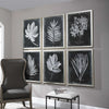Uttermost Home Oversize - Rate to be Quoted Uttermost Foliage Framed Prints, S/6