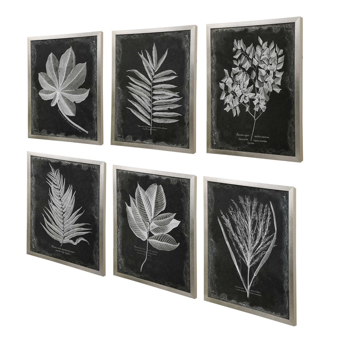 Uttermost Home Oversize - Rate to be Quoted Uttermost Foliage Framed Prints, S/6