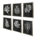 Uttermost Home Oversize - Rate to be Quoted Uttermost Foliage Framed Prints, S/6