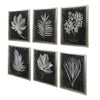 Uttermost Home Oversize - Rate to be Quoted Uttermost Foliage Framed Prints, S/6