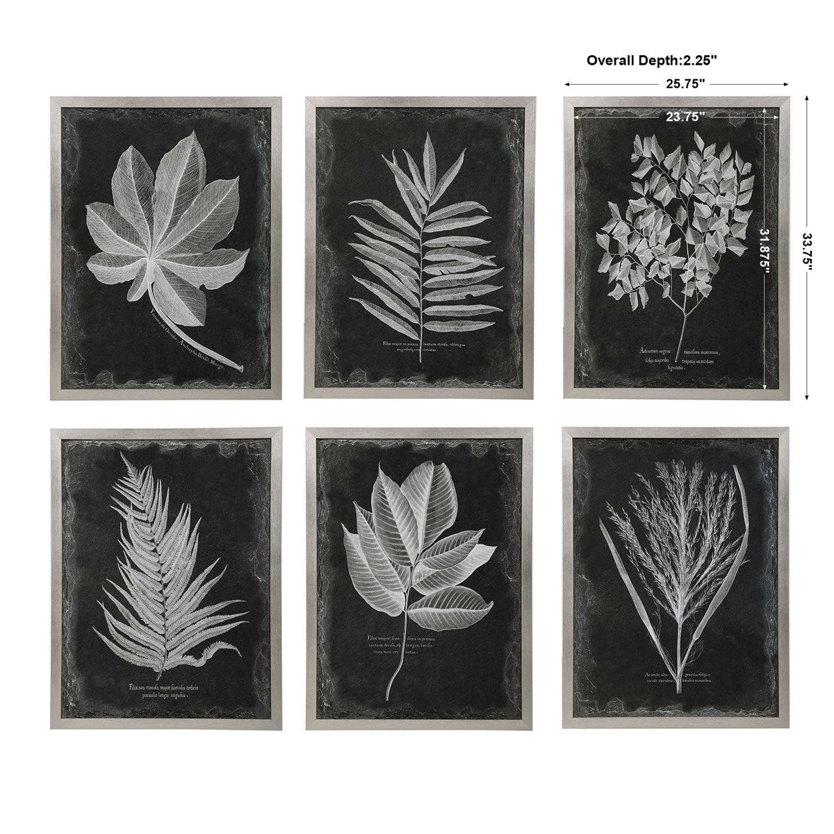 Uttermost Home Oversize - Rate to be Quoted Uttermost Foliage Framed Prints, S/6