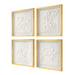 Uttermost Home Decor Uttermost Fourfold Framed Prints Set/4