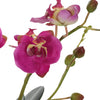 Uttermost Home Uttermost Glory Fuchsia Orchid