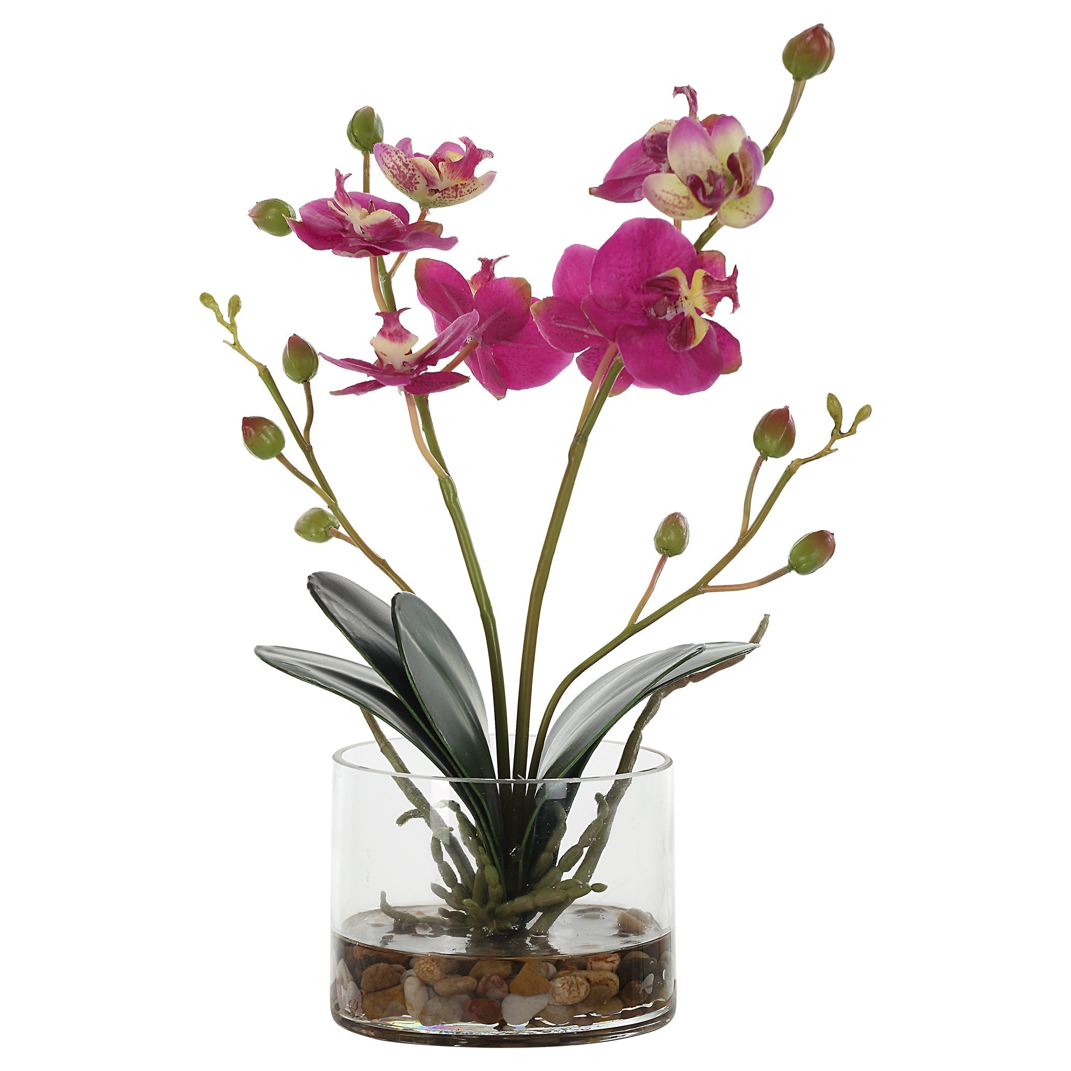 Uttermost Home Uttermost Glory Fuchsia Orchid