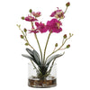 Uttermost Home Uttermost Glory Fuchsia Orchid