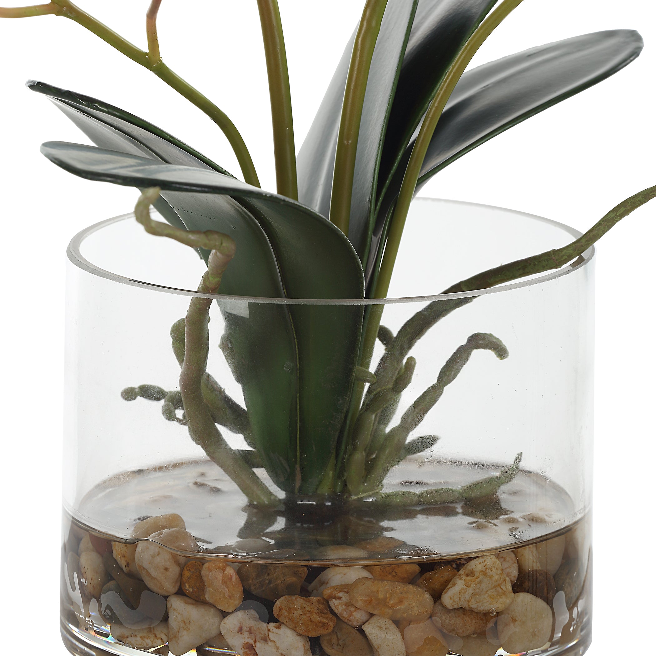 Uttermost Home Uttermost Glory Fuchsia Orchid