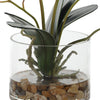 Uttermost Home Uttermost Glory Fuchsia Orchid
