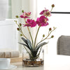 Uttermost Home Uttermost Glory Fuchsia Orchid