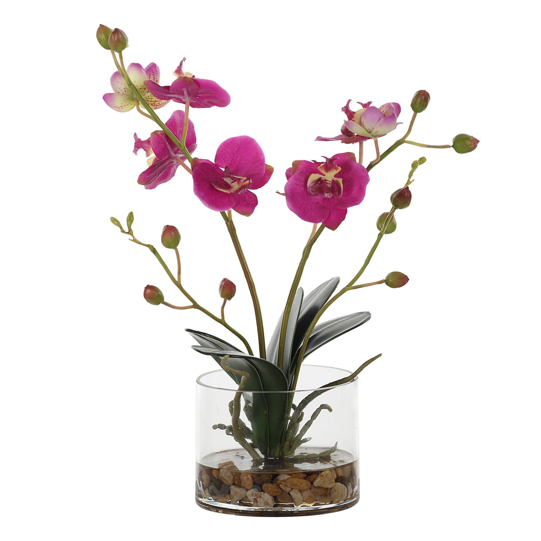 Uttermost Home Uttermost Glory Fuchsia Orchid