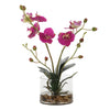 Uttermost Home Uttermost Glory Fuchsia Orchid