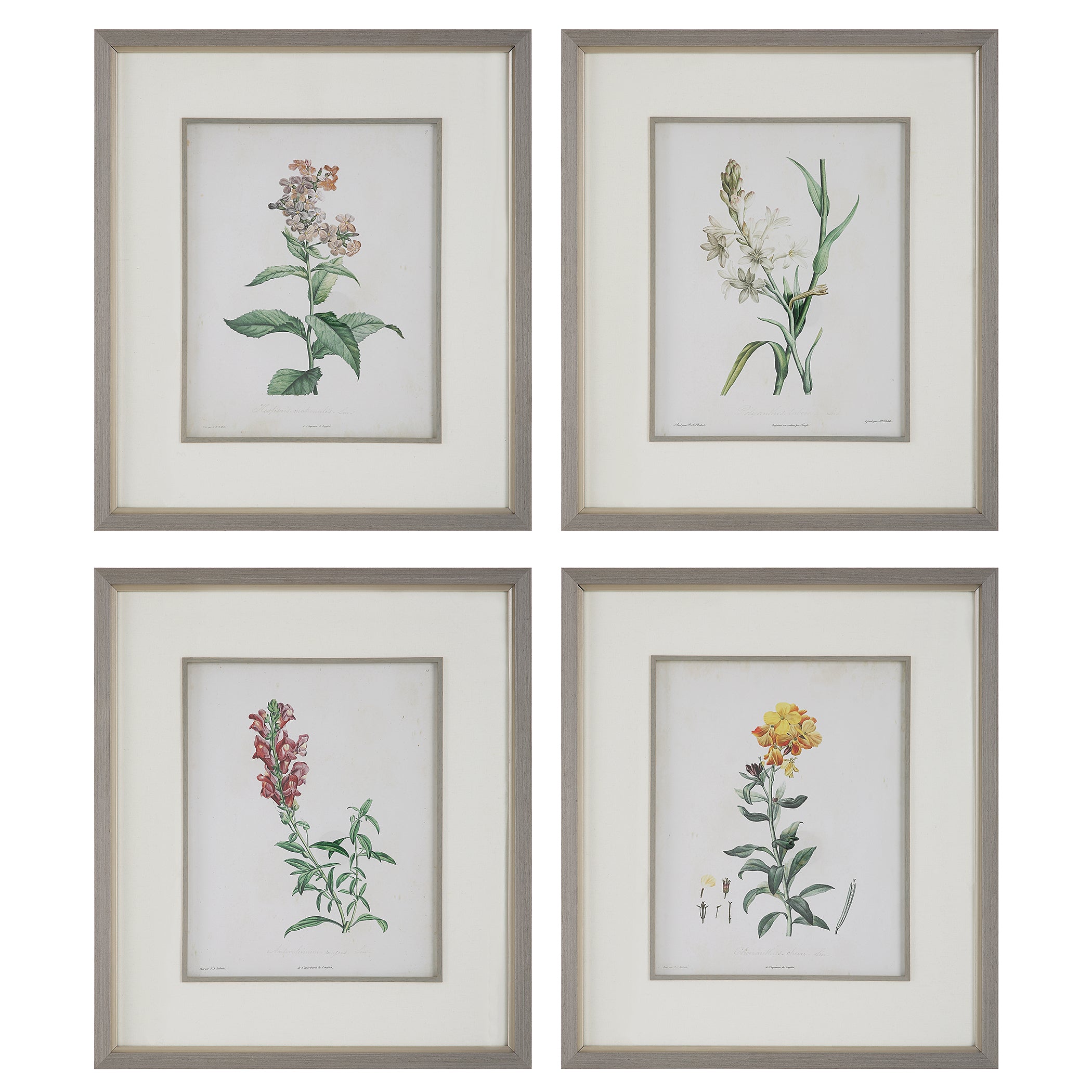 Uttermost Home Decor Uttermost Heirloom Blooms Study Framed Prints Set/4