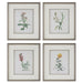 Uttermost Home Decor Uttermost Heirloom Blooms Study Framed Prints Set/4