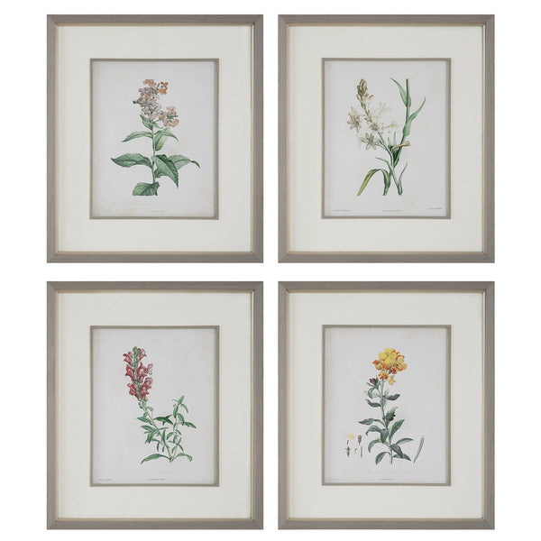 Uttermost Home Decor Uttermost Heirloom Blooms Study Framed Prints Set/4
