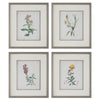 Uttermost Home Decor Uttermost Heirloom Blooms Study Framed Prints Set/4