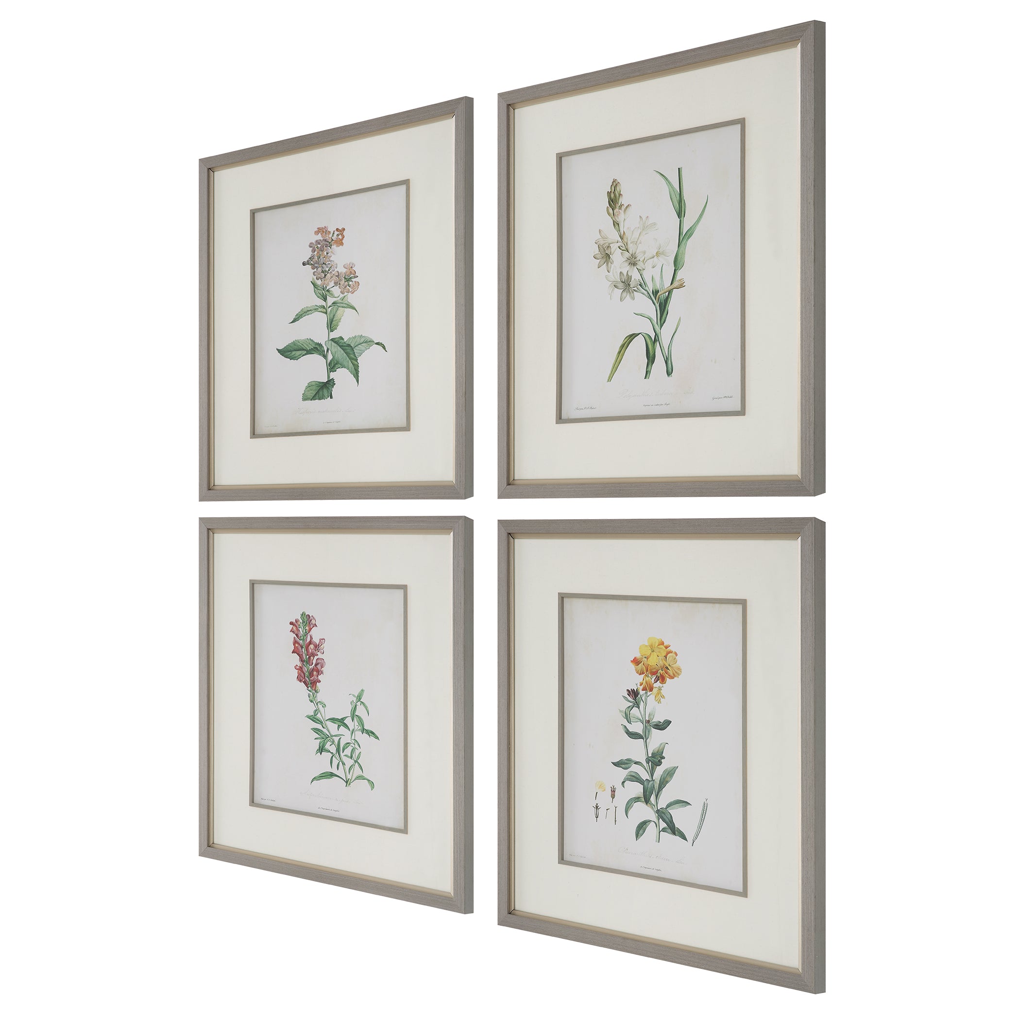 Uttermost Home Uttermost Heirloom Blooms Study Framed Prints Set/4