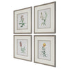 Uttermost Home Uttermost Heirloom Blooms Study Framed Prints Set/4