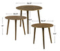 Uttermost Home Uttermost Kasai Coffee Tables, S/3