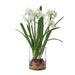 Uttermost Home Decor Uttermost Lacey Daffodil Accent Arrangement
